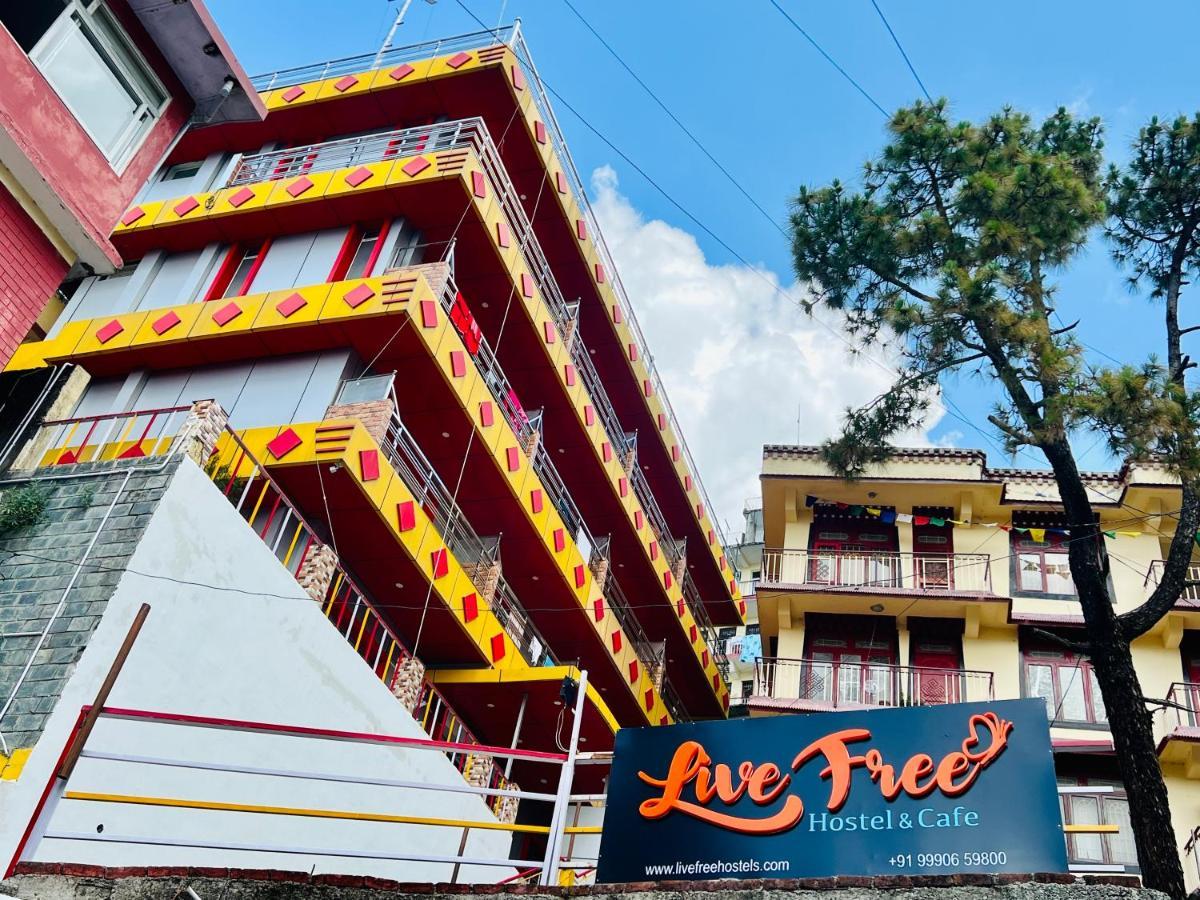 Live Free Hostel, Mcleodganj ماكليود غانج المظهر الخارجي الصورة
