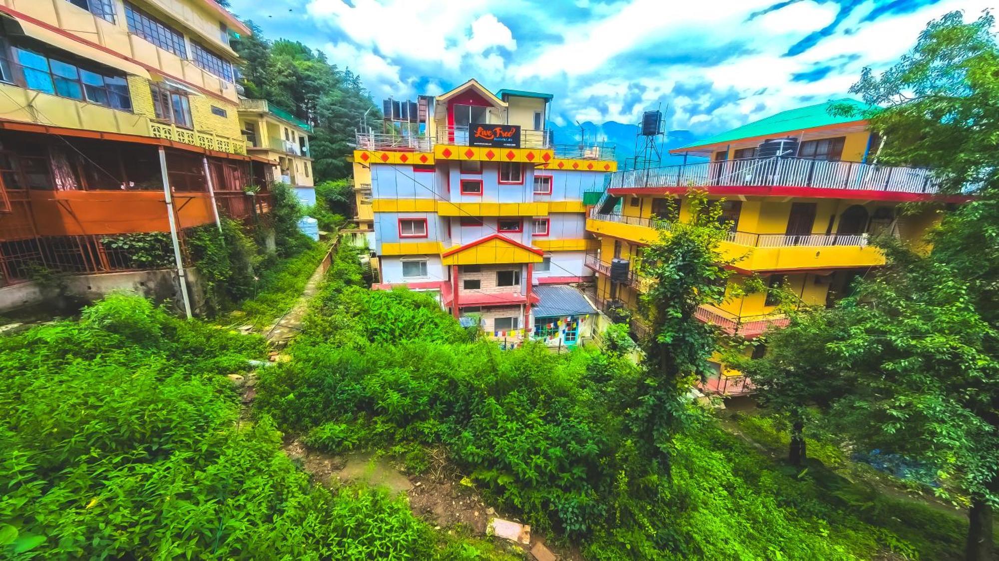Live Free Hostel, Mcleodganj ماكليود غانج المظهر الخارجي الصورة